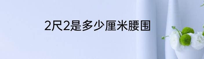 2尺2是多少厘米腰围