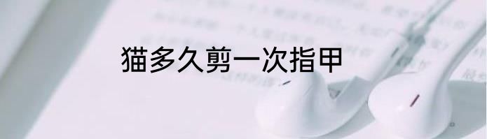 猫多久剪一次指甲