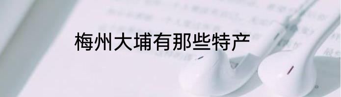 梅州大埔有那些特产