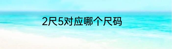 2尺5对应哪个尺码