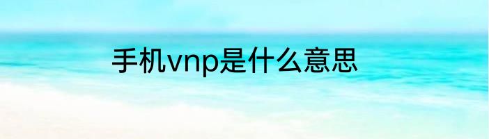 手机vnp是什么意思