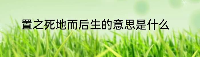 置之死地而后生的意思是什么
