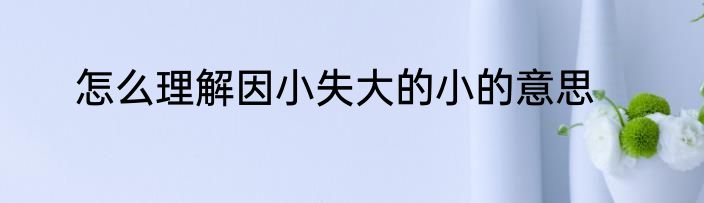 怎么理解因小失大的小的意思