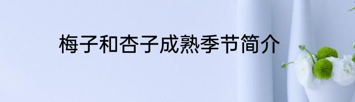 梅子和杏子成熟季节简介