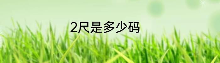 2尺是多少码