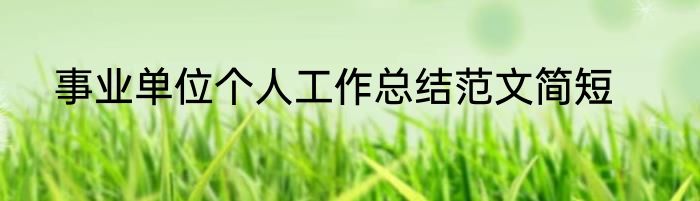 事业单位个人工作总结范文简短