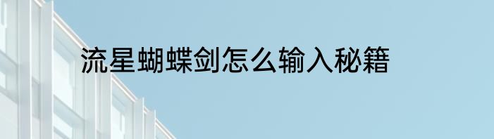 流星蝴蝶剑怎么输入秘籍