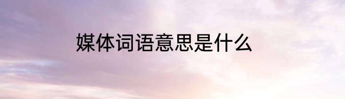 媒体词语意思是什么