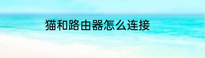 猫和路由器怎么连接