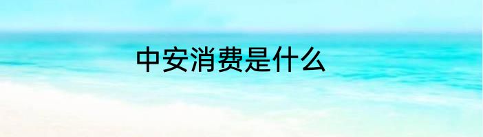 中安消费是什么
