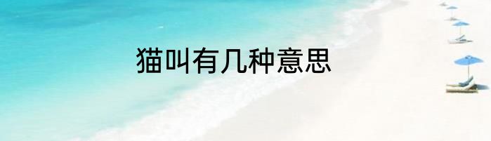 猫叫有几种意思