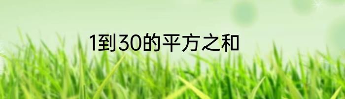 1到30的平方之和