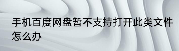 手机百度网盘暂不支持打开此类文件怎么办