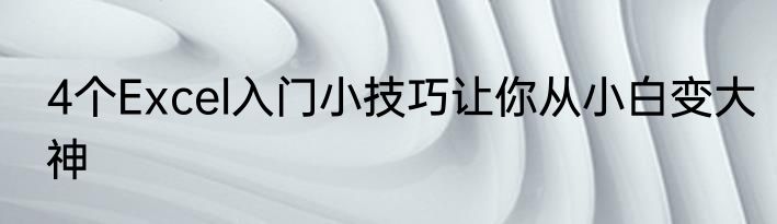 4个Excel入门小技巧让你从小白变大神