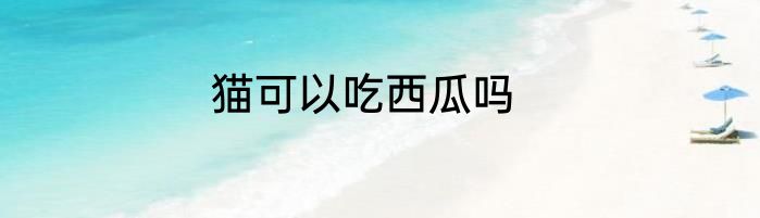 猫可以吃西瓜吗