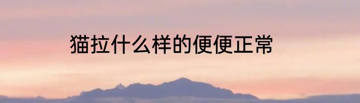 猫拉什么样的便便正常