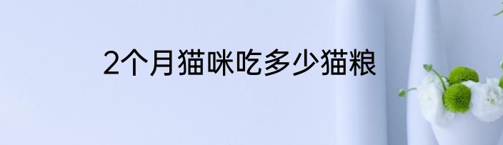 2个月猫咪吃多少猫粮