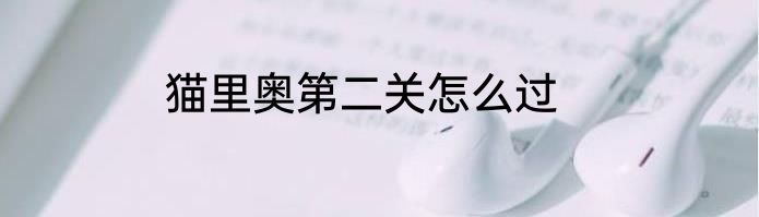 猫里奥第二关怎么过
