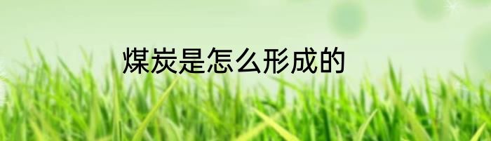 煤炭是怎么形成的