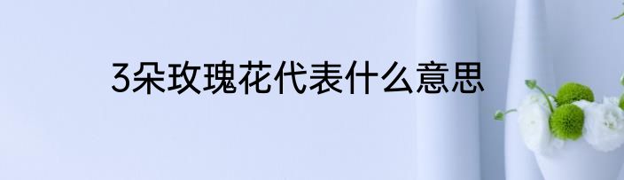3朵玫瑰花代表什么意思