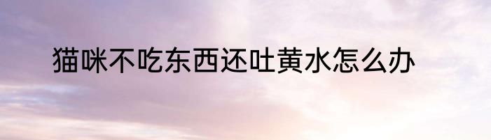 猫咪不吃东西还吐黄水怎么办