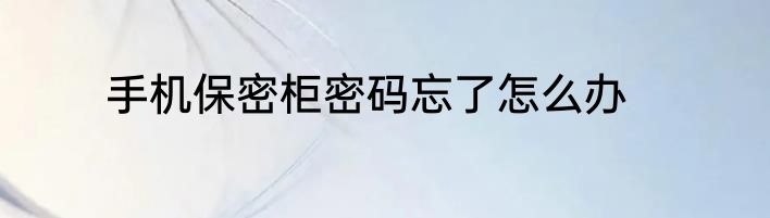 手机保密柜密码忘了怎么办