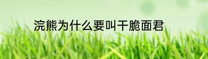 浣熊为什么要叫干脆面君