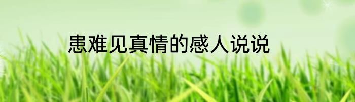 患难见真情的感人说说