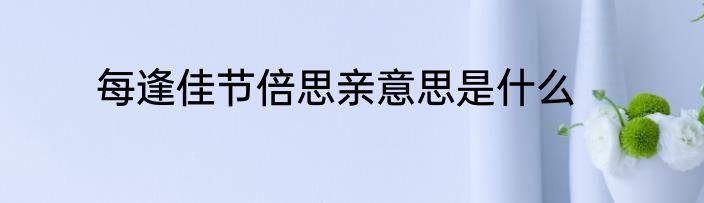 每逢佳节倍思亲意思是什么
