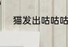 猫发出咕咕咕的声音是什么意思