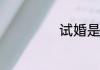 试婚是什么意思啊