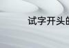 试字开头的四字词有哪些