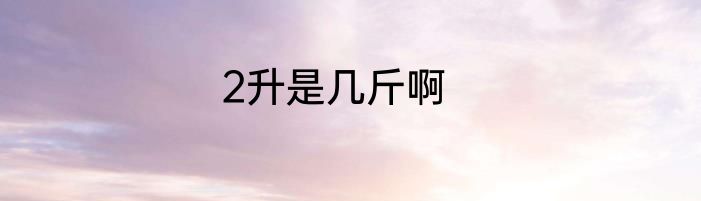 2升是几斤啊