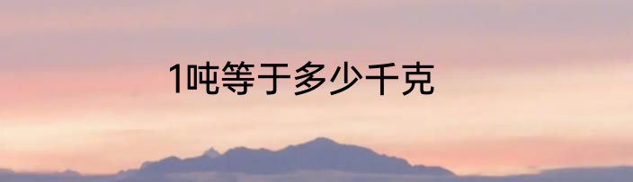 1吨等于多少千克