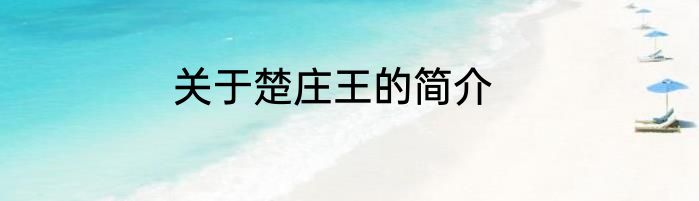 关于楚庄王的简介