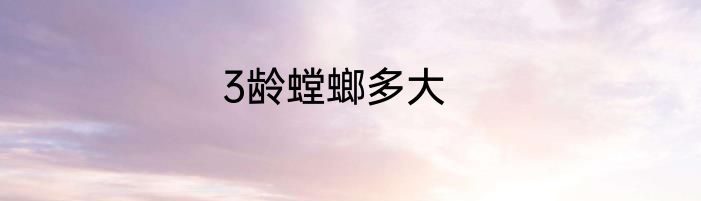 3龄螳螂多大