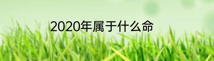 2020年属于什么命