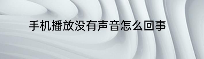 手机播放没有声音怎么回事