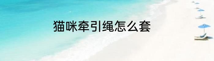 猫咪牵引绳怎么套
