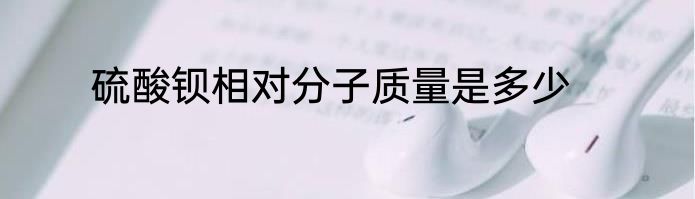 硫酸钡相对分子质量是多少