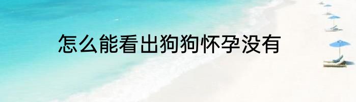 怎么能看出狗狗怀孕没有