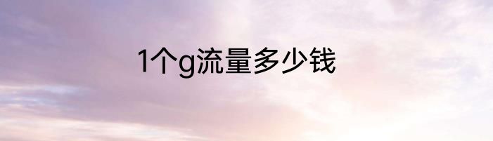 1个g流量多少钱