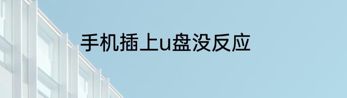 手机插上u盘没反应