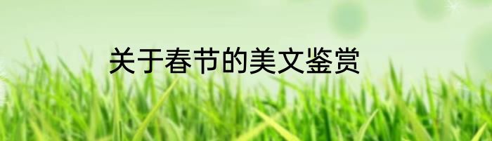 关于春节的美文鉴赏