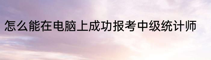 怎么能在电脑上成功报考中级统计师