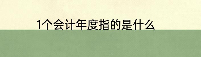 1个会计年度指的是什么