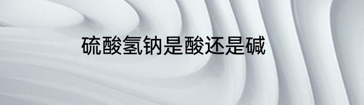 硫酸氢钠是酸还是碱