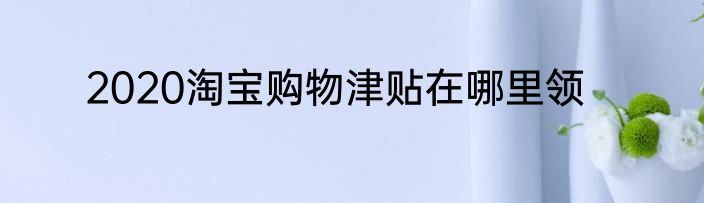 2020淘宝购物津贴在哪里领