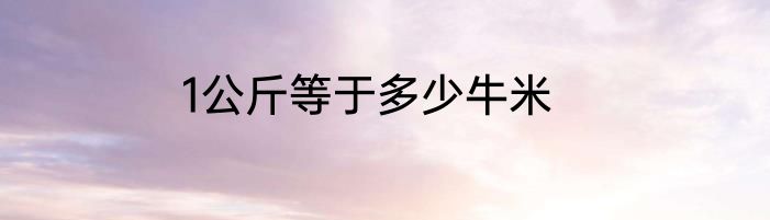 1公斤等于多少牛米