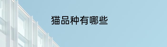 猫品种有哪些